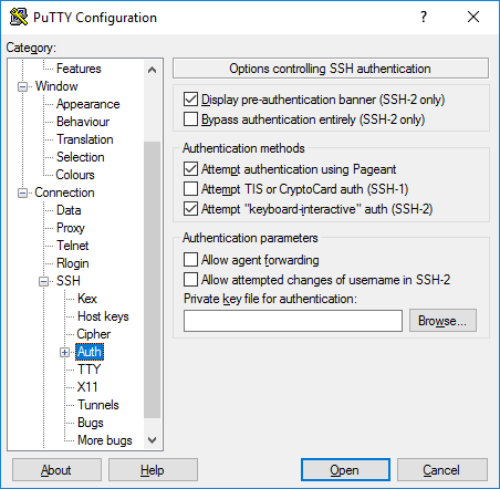 PuTTY config auth